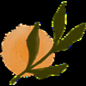 Meet your Posher, Chloe